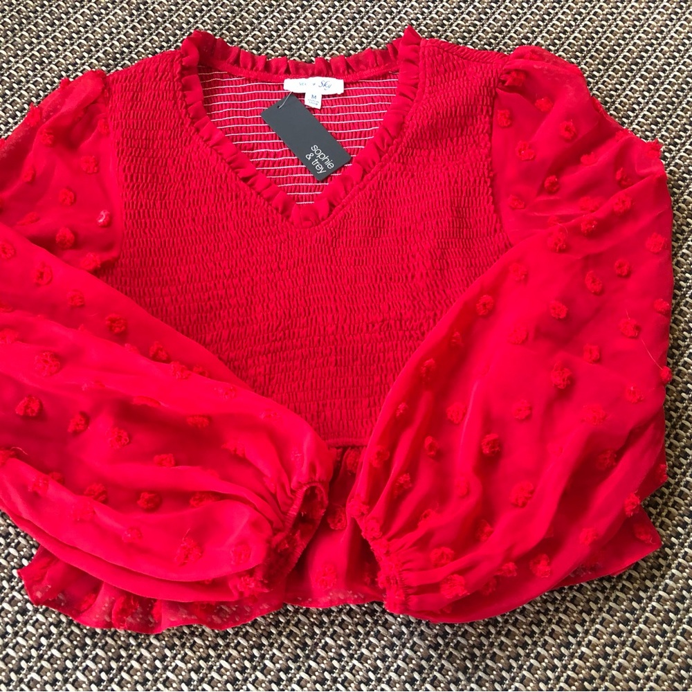 ♥️NEW! She & Sky Red Smocked V-neck Blouse Top